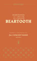 The Beartooth